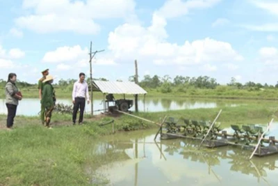 Bà Hữu Thị Thê có con trai mãn hạn tù vay vốn chính sách để cải tạo ao nuôi tôm. (Ảnh: Cổng thông tin Chính phủ)