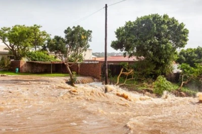 Ảnh minh họa. (Nguồn: Afrik 21/TTXVN)