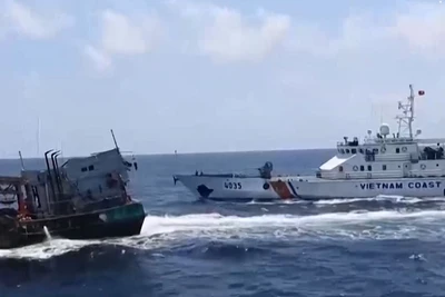 [Video] Quảng Trị tăng cường kiểm soát tàu cá, quyết liệt chống khai thác IUU