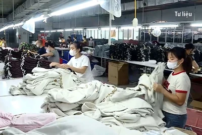 [Video] Giảm sốc về thuế quan, ngành dệt may vững vàng tiến bước