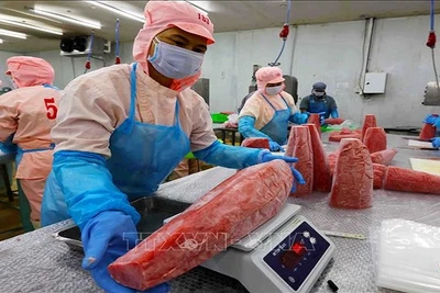 [Video] Bộ Công Thương đẩy mạnh cảnh báo sớm phòng vệ thương mại