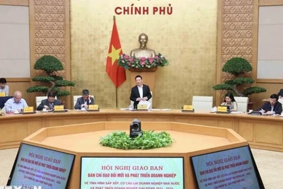 Phó Thủ tướng Hồ Đức Phớc, Trưởng ban Chỉ đạo Đổi mới và Phát triển doanh nghiệp phát biểu. (Ảnh: An Đăng/TTXVN)