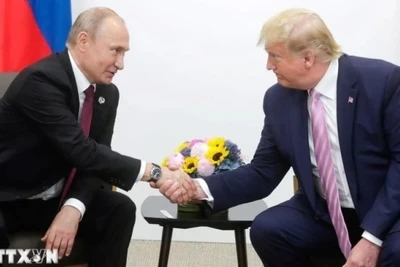 Tổng thống Nga Vladimir Putin (trái) và người đồng cấp Mỹ Donald Trump trong cuộc gặp bên lề Hội nghị thượng đỉnh G20 tại Osaka, Nhật Bản ngày 28/6/2019. (Ảnh: AA/TTXVN)