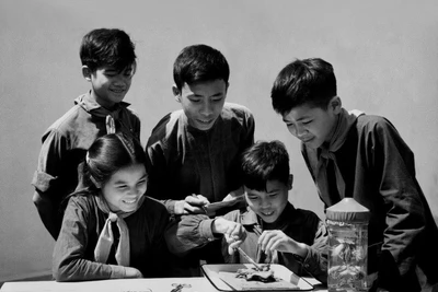 [QUIZ] Vang xa "Tiếng trống Bắc Lý”