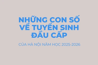 [Infographic] Những con số về tuyển sinh đầu cấp của Hà Nội năm 2025