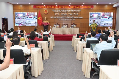 Đại biểu hai tỉnh Lào Cai và Yên Bái cùng tham gia biểu quyết thông qua Nghị quyết hợp nhất hai tỉnh.