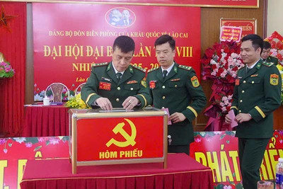  Đại hội bầu cử Ban chấp hành Đảng bộ khoá mới.