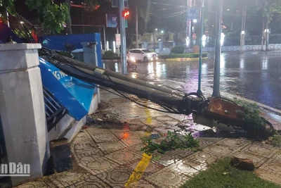 Mưa lớn kèm theo gió giật mạnh làm nhiều cây xanh, trụ điện gãy đổ.