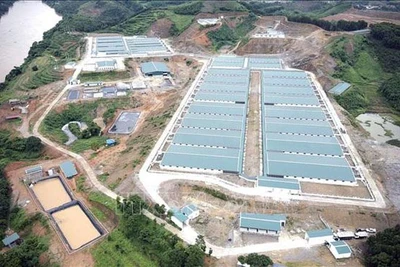 Khu trang trại lợn tại xã Đông An, huyện Văn Yên.