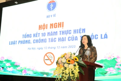 Bộ trưởng Y tế Đào Hồng Lan phát biểu tại Hội nghị.