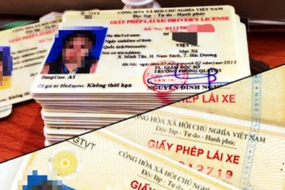 Từ ngày 13/11, Hà Nội sẽ có thêm các điểm cấp đổi, cấp lại giấy phép lái xe tại Ủy ban nhân dân huyện Mỹ Đức và Đông Anh. (Ảnh minh họa)
