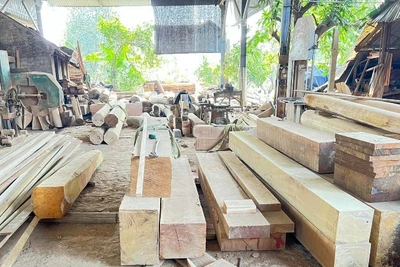 Làng nghề Hương Ngải, xã Hương Ngải, huyện Thạch Thất, thành phố Hà Nội. (Ảnh: TUẤN ANH)