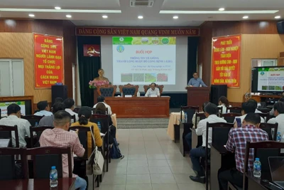 Quang cảnh cuộc họp thông tin về “giống thanh long ruột đỏ Long Định 1”.