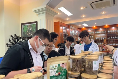 Học sinh tham quan Bảo tàng Dược liệu Việt Nam.