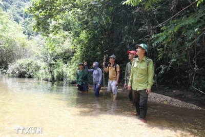Lực lượng kiểm lâm và người dân địa phương trong khu vực suối Khe Cố, Tiểu khu 730, được khoanh nuôi, bảo vệ nguồn lợi thủy sản. 