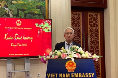 Đại sứ Phạm Sao Mai phát biểu ý kiến tại buổi gặp mặt. 