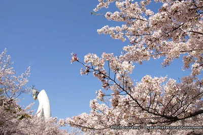 Công viên Kỷ niệm Expo '70. Ảnh: Cơ quan Xúc tiến Du lịch Nhật Bản tại Việt Nam (JNTO) cung cấp.
