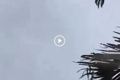 [Video] Khoảnh khắc máy bay ATR-72 chở 61 người nổ tung khi rơi xuống đất ở Brazil