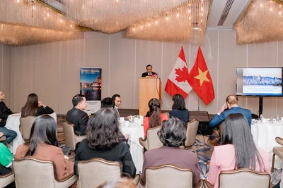 Toàn cảnh hội thảo. 