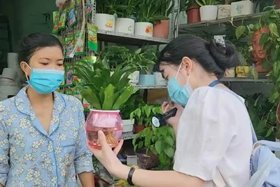TP Hồ Chí Minh: Số ca mắc sốt xuất huyết, tay chân miệng tăng nhanh