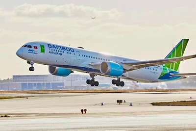 Bamboo Airways vẫn duy trì hoạt động bình thường
