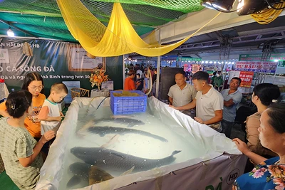 Khu trưng bày cá trắm đen loại hơn 20kg tại Hội chợ.