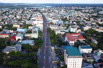 Theo Sở Xây dựng tỉnh Quảng Ngãi, hiện nhiều tuyến đường, khu phố trên địa bàn tỉnh chưa đáp ứng yêu cầu mỹ quan cây xanh đô thị. 