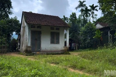 Quảng Ngãi nghiêm cấm lợi dụng chủ trương xóa nhà tạm, nhà dột nát để xâm hại rừng.