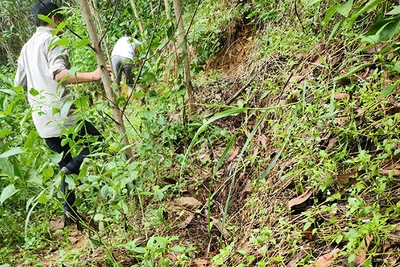 Điểm sạt lở núi Mang Kà Muồng, thôn Nước Tang, xã Sơn Bao, huyện Sơn Hà đe dọa tính mạng, tài sản của nhân dân và Nhà nước.