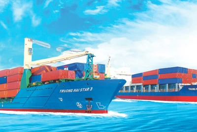 Đội tàu biển Việt Nam vẫn chủ yếu vận tải nội địa, trọng tải nhỏ.