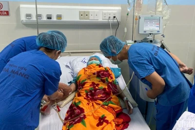 Các y, bác sĩ chăm sóc bệnh nhân Hồ Thị N. sau ca ghép tế bào gốc tự thân. (Ảnh: ANH ĐÀO)