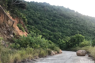 Đà Nẵng cấm người và phương tiện lên bán đảo Sơn Trà đến hết ngày 26/4 