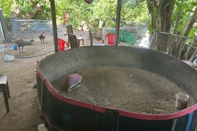 Hiện trường "sới bạc" vừa bị cơ quan chức năng thành phố Đà Nẵng triệt xóa. (Ảnh: Công an cung cấp)