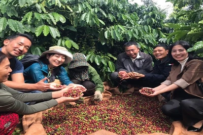 Cà-phê là một trong những nông sản Việt Nam xuất khẩu nhiều vào thị trường ASEAN.