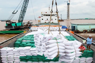 Việt Nam có nhiều cơ hội xuất khẩu gạo trong năm 2024.