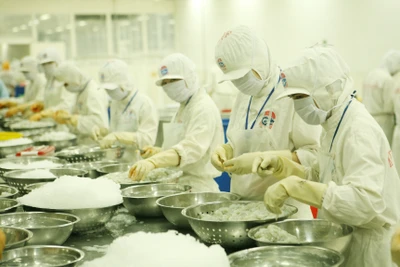 Thủy sản Việt Nam có nhiều cơ hội xuất khẩu sang thị trường Bắc Âu.