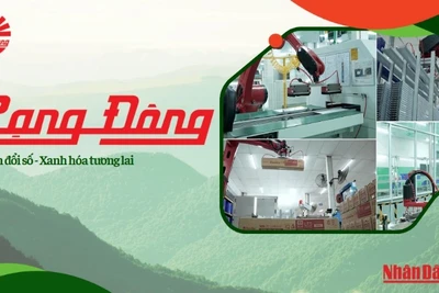 Rạng Đông: Chuyển Đổi Số, Xanh Hóa Tương Lai 