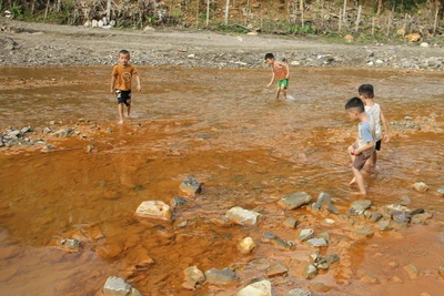 Nước suối Nậm Huống từ trong vắt đổi sang màu vàng sẫm, nhiều bùn.