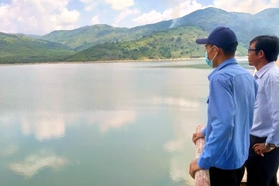 Công ty TNHH MTV Khai thác công trình thủy lợi Khánh Hòa cảnh báo vùng hạn, thiếu nước tưới. Ảnh: KIM SƠ