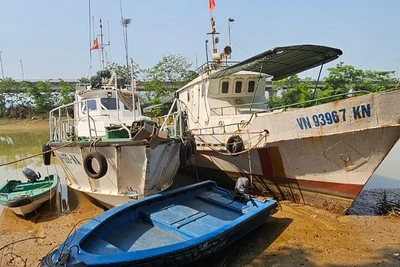 Hai tàu kiểm ngư đang phải nằm bờ gần một tháng nay.