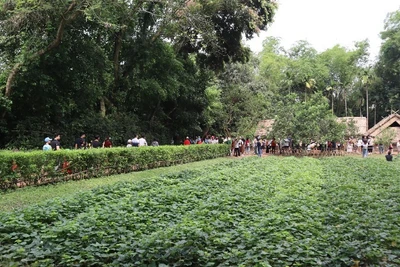 Hàng nghìn người dân, du khách đã về thăm khu Di tích lịch sử quốc gia đặc biệt Kim Liên - Quê hương của Chủ tịch Hồ Chí Minh.