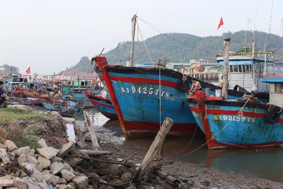 Tàu thuyền neo đậu ở cảng Lạch Quèn, xã Quỳnh Thuận, huyện Quỳnh Lưu.