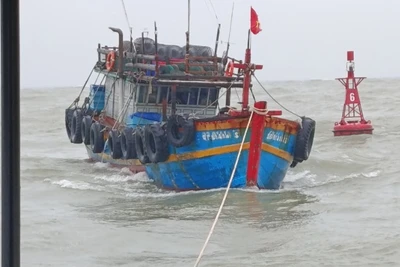 Tàu cá mang số hiệu QB 91414TS được lai dắt vào bờ.