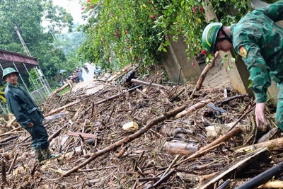 Tối 29/5, lũ quét bất ngờ tràn xuống bản Lam Hợp, xã Tri Lễ, huyện Quế Phong, mang theo đất đá, cây cối. (Ảnh: HIẾU AN)