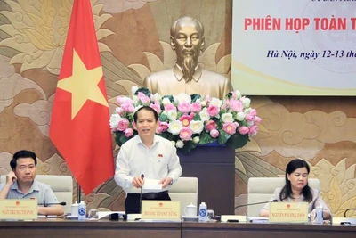 Chủ nhiệm Ủy ban Pháp luật Hoàng Thanh Tùng chủ trì phiên họp.