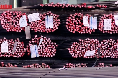 [Video] Hoa Kỳ áp thuế chống bán phá giá thép mạ Việt Nam