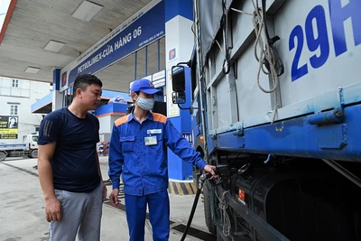 Doanh nghiệp Nhà nước hoạt động trong nhiều ngành, lĩnh vực có vài trò, vị trí quan trọng của nền kinh tế.