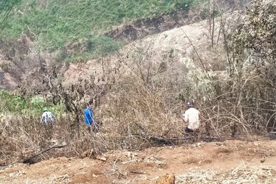 Lai Châu: Hai vợ chồng chết cháy trong quá trình đốt nương