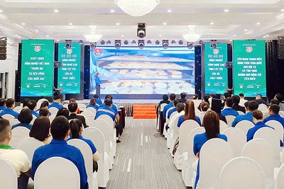 Các thí sinh trình bày dự án khởi nghiệp tại chung kết Cuộc thi.