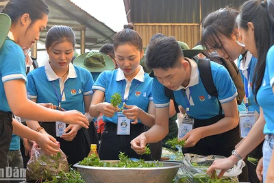 Ca sĩ Ngô Lan Hương (thứ 3 từ trái sang) và các đại biểu Hành trình chuẩn bị "Bữa ăn cho em". 